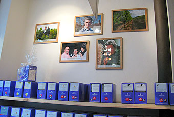bibovino 2