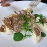Restaurant Auguste - Le bar à la purée de céleri, coulis de cresson, truffe blanche