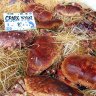 La poissonnerie Ledreux. Jolis crabes vivants