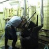  Distillerie Metté - Le nettoyage des alambics après chaque distillation est un élément essentiel de la qualité Metté. Si le cuivre accroche les impuretés, il est impératif de les éliminer avant de procéder à une nouvelle distillation. 