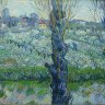 Neue Pinakothek - Vincent van Gogh (1853-1890) « Vue d'Arles (verger en fleurs, peupliers) » - 1889. Salle 21 - Vincent van Gogh, Paul Gauguin, Paul Sérusier.