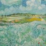 Neue Pinakothek - Vincent van Gogh (1853-1890) « La Plaine près d'Auvers avec ciel nuageux  » - 1890. Salle 21 - Vincent van Gogh, Paul Gauguin, Paul Sérusier.